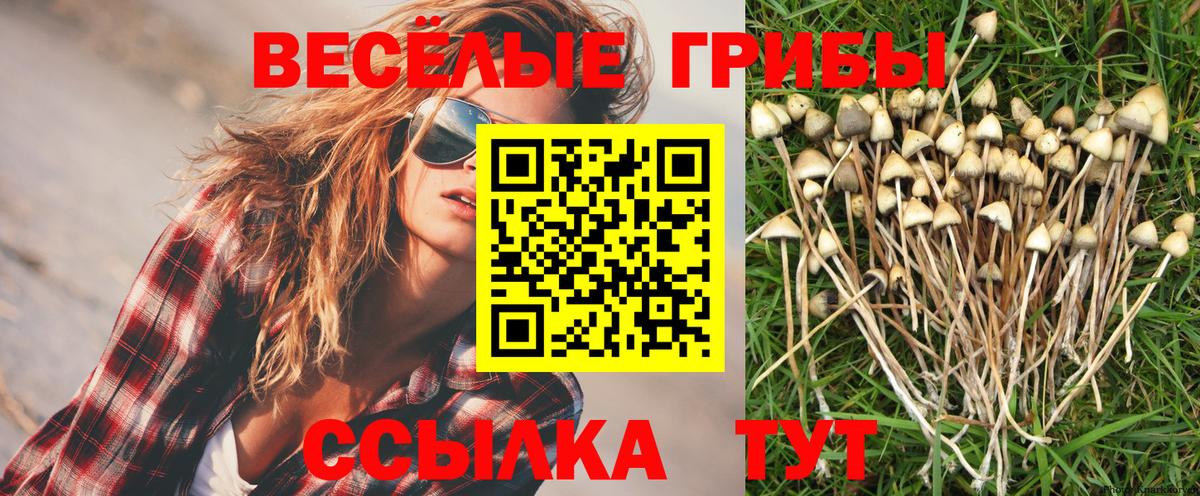 Галлюциногенные грибы Magic Shrooms  Вход с VPN  Урус-Мартан 